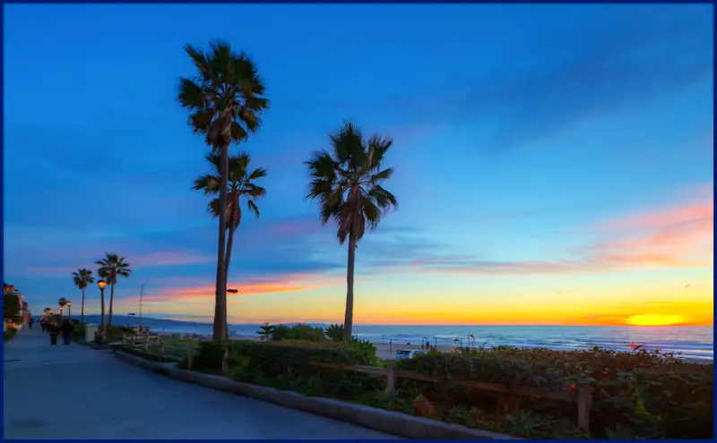 Palm trees along the Strand near El Segundo
